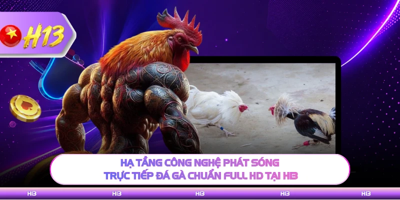 Hạ tầng công nghệ phát sóng trực tiếp đá gà chuẩn Full HD tại H13