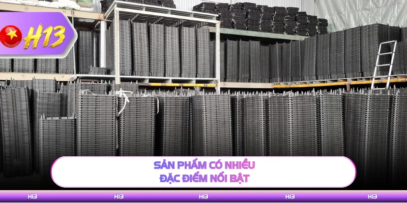 Sản phẩm có nhiều đặc điểm nổi bật